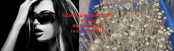 мет Армянск