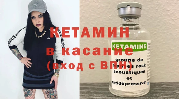 трава Аркадак