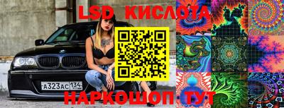 СК Новозыбков