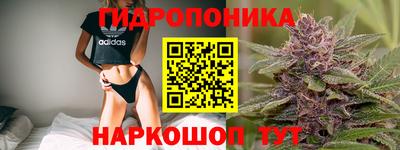 СК Новозыбков