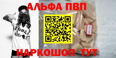 СК Новозыбков
