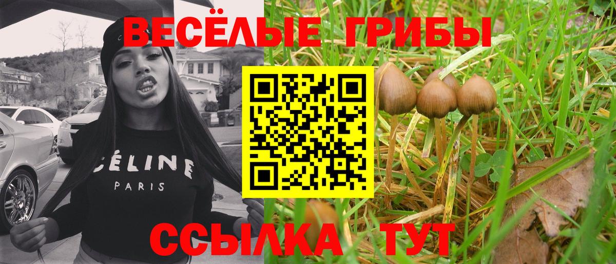 Галлюциногенные грибы MAGIC MUSHROOMS Барабинск