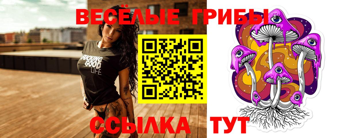 Галлюциногенные грибы ЛСД  Вход с VPN  Галлюциногенные грибы Psilocybine cubensis  Барабинск 